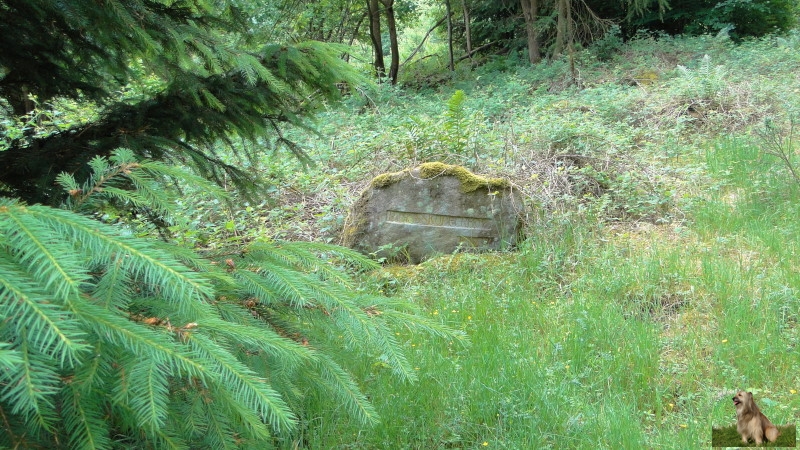 Ritterstein Nr. 186-4 R. Geiskopferhof.JPG - Ritterstein Nr.186 R. Geiskopferhof